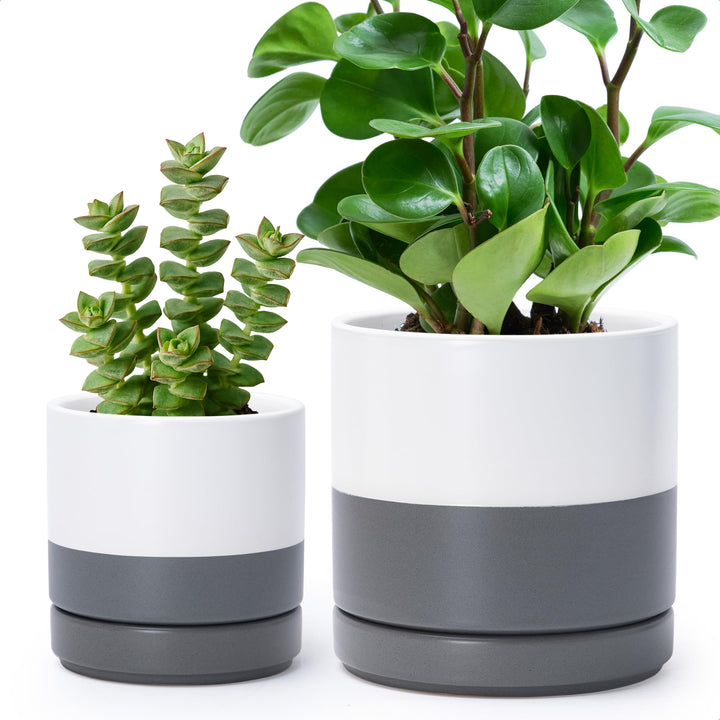 D'vine Dev 11,7 cm & 15,2 cm Keramik-Pflanztöpfe für Pflanzen mit Drainageloch und Untersetzer, klei