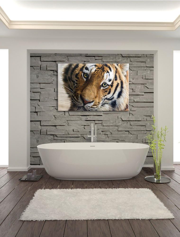 Pixxprint bildschöner Tiger auf Leinwand, XXL riesige Bilder fertig gerahmt mit Keilrahmen, Kunstdru