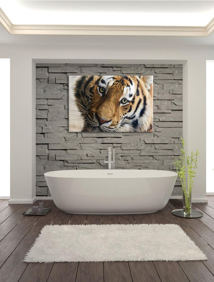 Pixxprint bildschöner Tiger auf Leinwand, XXL riesige Bilder fertig gerahmt mit Keilrahmen, Kunstdru