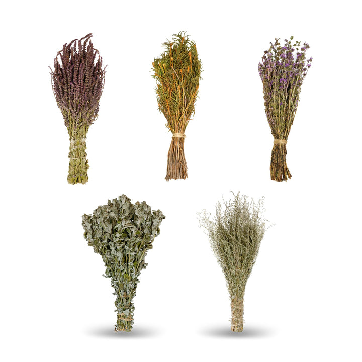 Sauna Kraftvoll | 5er-Set getrocknete Sauna-Kräutersträusse (Salbei, Pfefferminze, Thymian, Wermut,