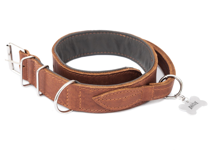 Hundehalsband Leder mit Griff, Lederhalsband Hund, Halsband, Metallschnalle, Hell Braun, 47-54 cm, H