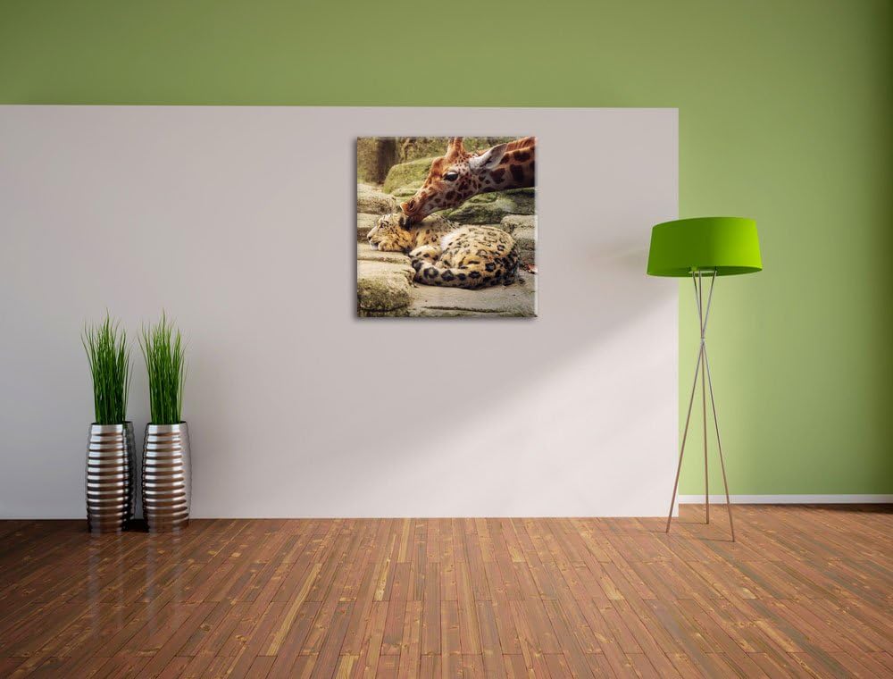 Pixxprint Leopard und Giraffe als Leinwandbild/Grösse: 70x70 cm/Wandbild/Kunstdruck/fertig bespannt,