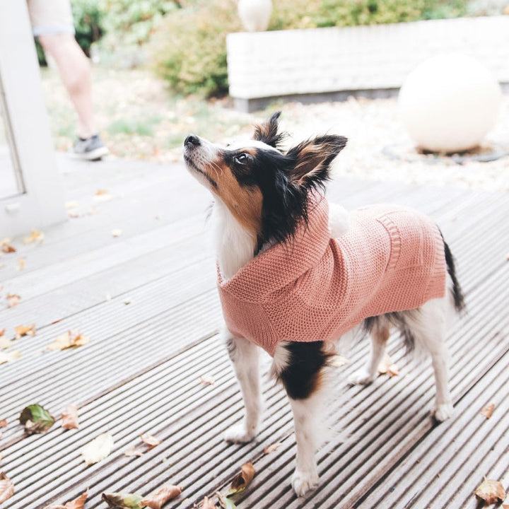HUNTER Hundepullover RÖGLA, Farbe: rosa, leichter Strickpullover mit Plüsch-Kapuze, weich & elastisc