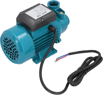 Wasserpumpe, DC 12 V, 180 W, Einstufige Horizontale Mikro-Vortex-Elektropumpe mit Einzelansaugung, M