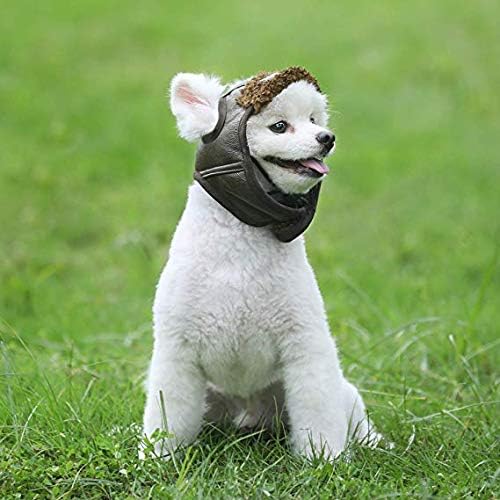 Leconpet Hund Fliegermütze, Hund Winter Pilotenmütze mit Ohrenklappen für kaltes Wetter (XXL, Schwar