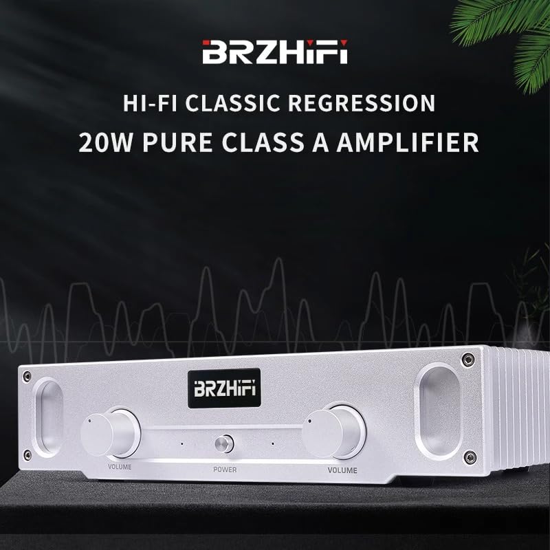 A1S Reiner Class A Verstärker 20W×2 2.0 Kanal HiFi Stereo Audio Endverstärke (Silber)