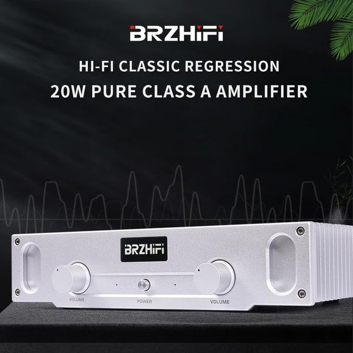 A1S Reiner Class A Verstärker 20W×2 2.0 Kanal HiFi Stereo Audio Endverstärke (Silber)