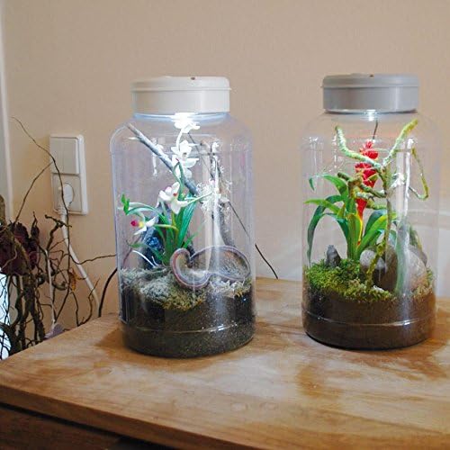 Lucky Reptile IT-5 InsectTarrium 5 l, Pet Kleinterrarium für den ersten Einstieg in die