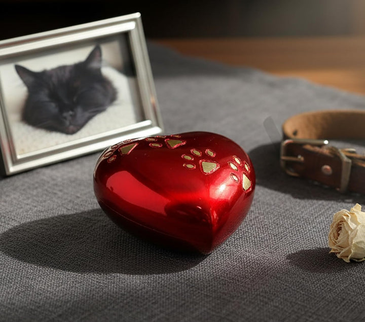 eSplanade Pet Urne Memorial Container Jar Pot | Messingurne | Urne aus Metall | Bestattungsurne | De