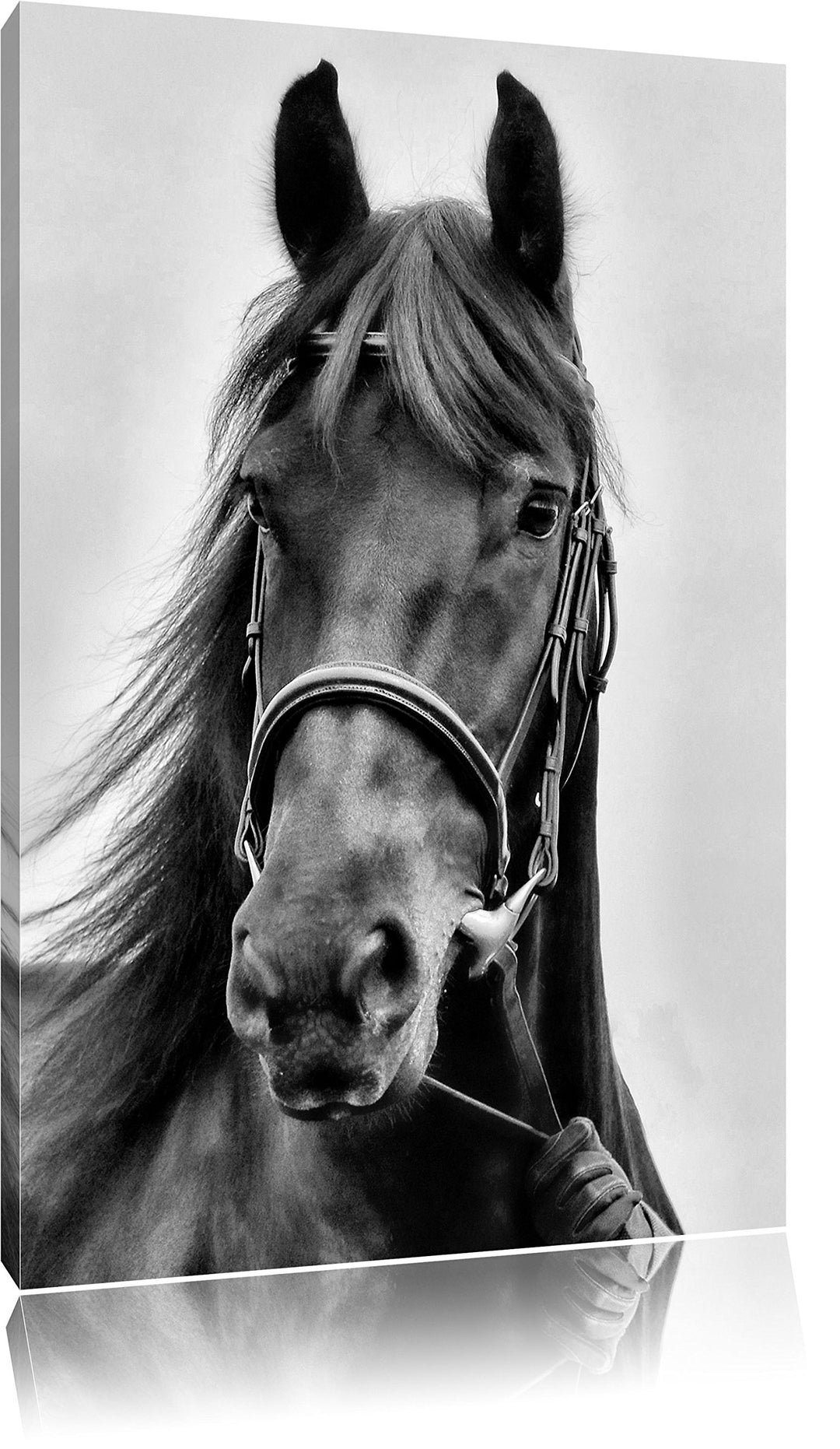 Monocrome, braunes Pferd, Format: 100x70 auf Leinwand, XXL riesige Bilder fertig gerahmt mit Keilrah