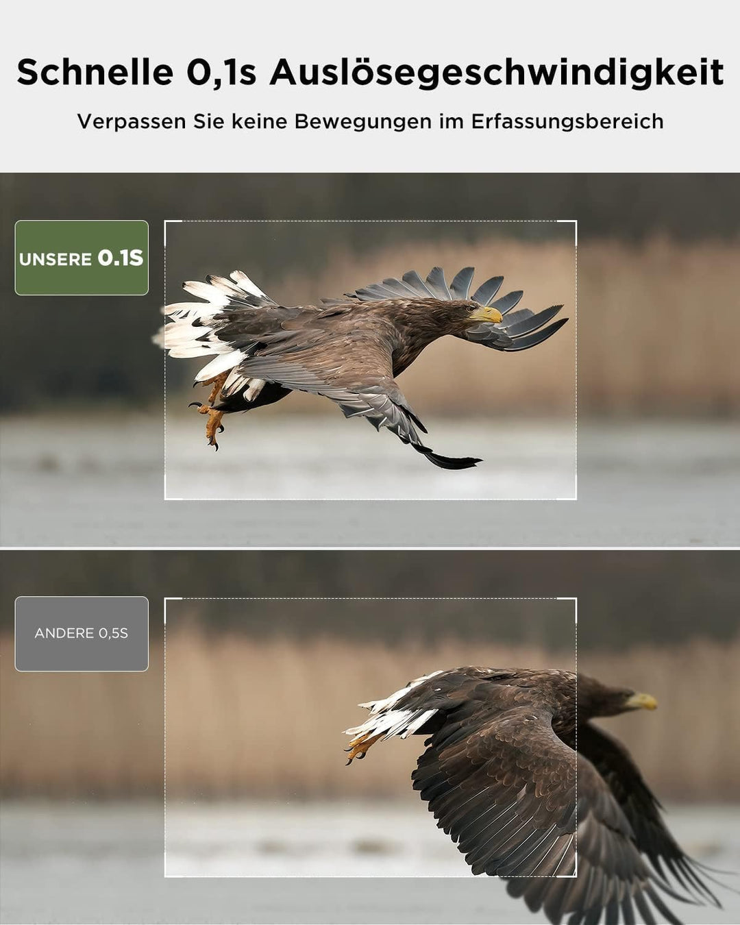 CEYOMUR Solar Wildkamera mit Handyübertragung App, 4K 68MP Wildkamera WLAN | Klare Nachtsicht, 120°