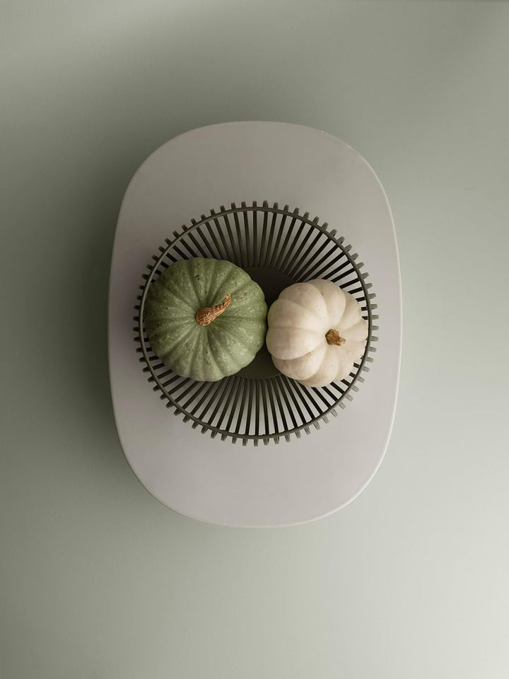 Blomus -LITO- Bowl | Obstschale aus hochwertigem Stahl | Dekoschale mit Streben in Agave Green | Grö