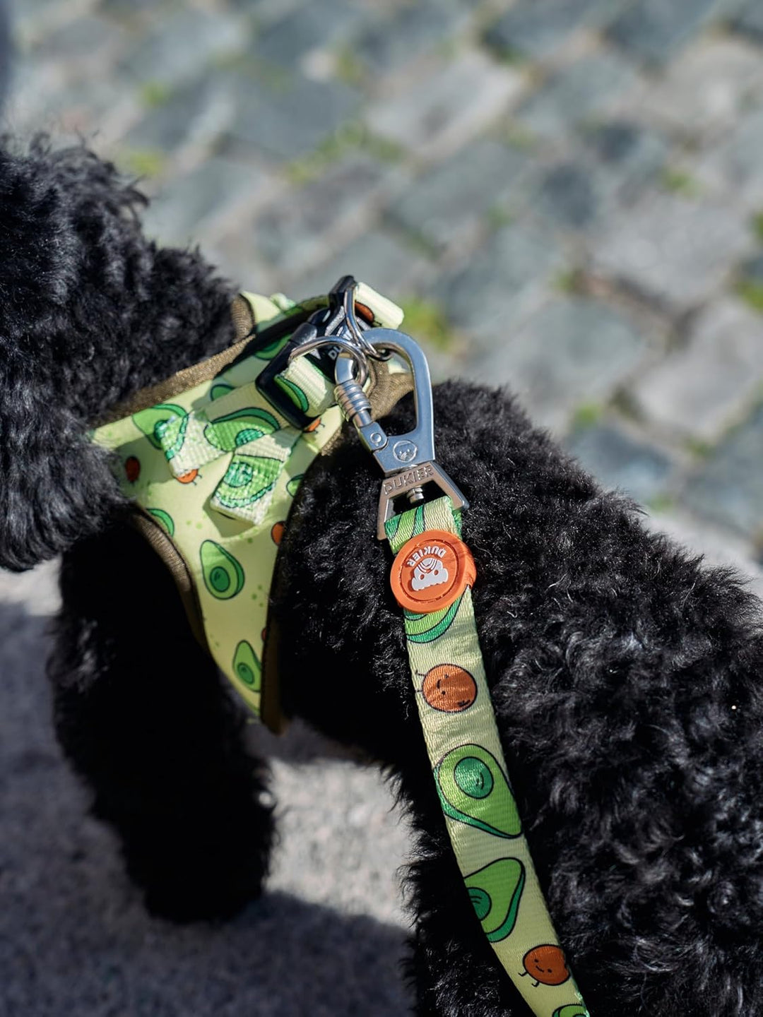 DUKIER - Hundegeschirr, Weste gegen Verletzung Body, verstellbar und robust für Haustiere, aus atmun