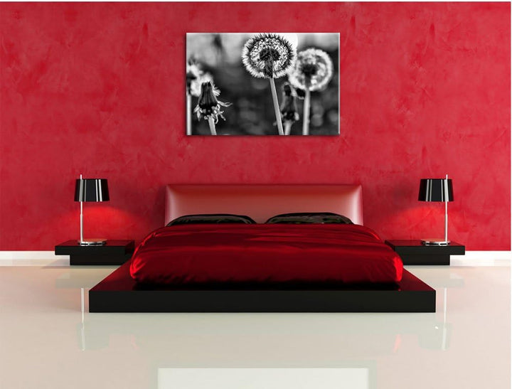 Monocrome, Pusteblume, Format: 100x70 auf Leinwand, XXL riesige Bilder fertig gerahmt mit Keilrahmen