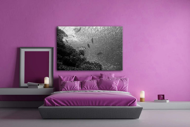 deyoli Fischschwärme im Korallenriff Format: 60x40 Effekt: Schwarz&amp;Weiss als Leinwandbild, Motiv fer