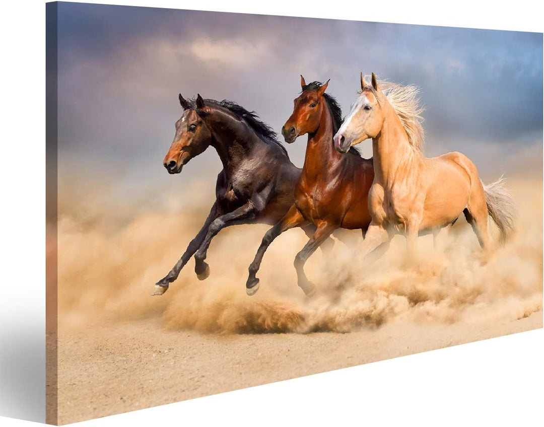 islandburner Bild auf Leinwand Pferdeherde Drei Pferde Gallopp Kinderzimmer Reiten Bilder Wandbilder
