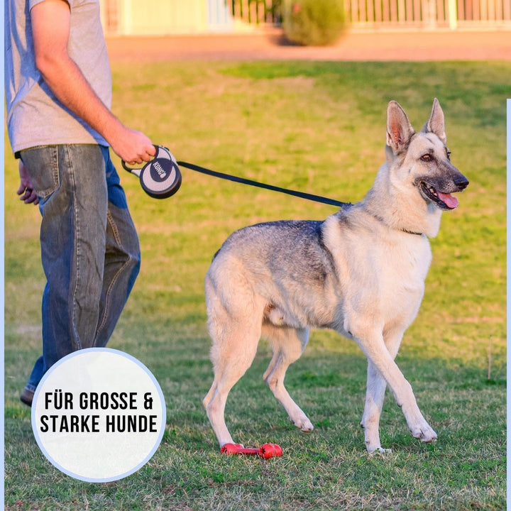 KONG ausrollbare Hundeleine in 5m Länge I Für sehr grosse &amp; starke Hunde bis 70kg I Grösse XL I Hoch