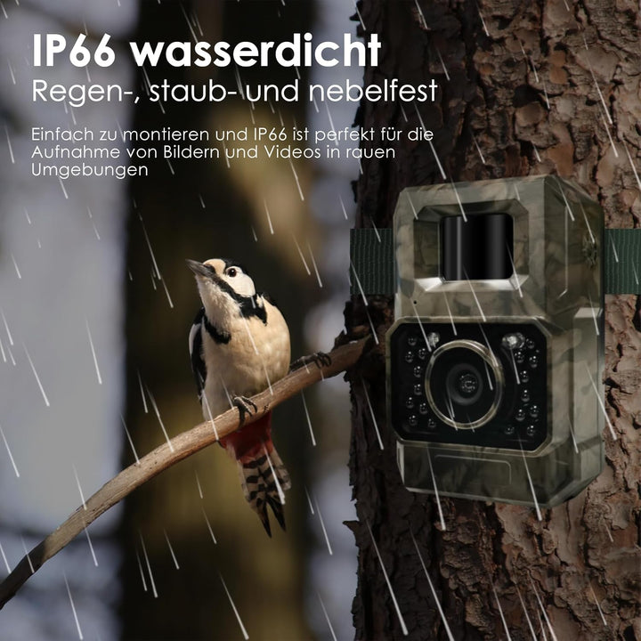 MAXDONE Wildkamera mit Bewegungsmelder Nachtsicht Bluetooth - WLAN mit Handyübertragung App Wiederau