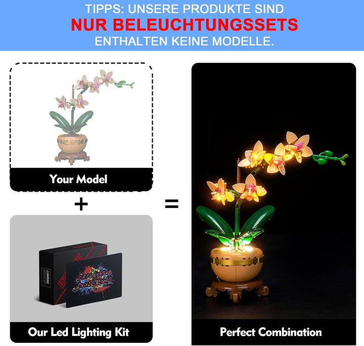 LocoLee Licht Set Kompatibel mit Lego 10343 Mini Orchidee (Kein LEGO-Modell), Licht Beleuchtung Set