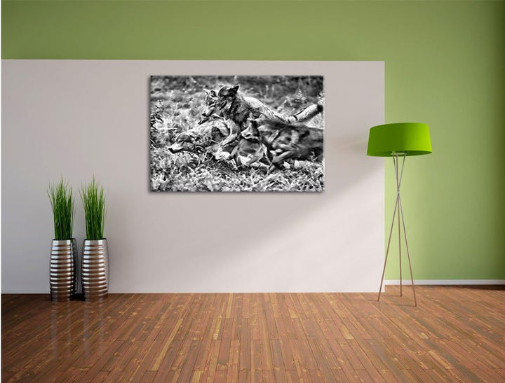 Pixxprint Tobendes Wolfsrudel als Leinwandbild/Grösse: 100x70 / Wandbild/Kunstdruck/fertig bespannt,