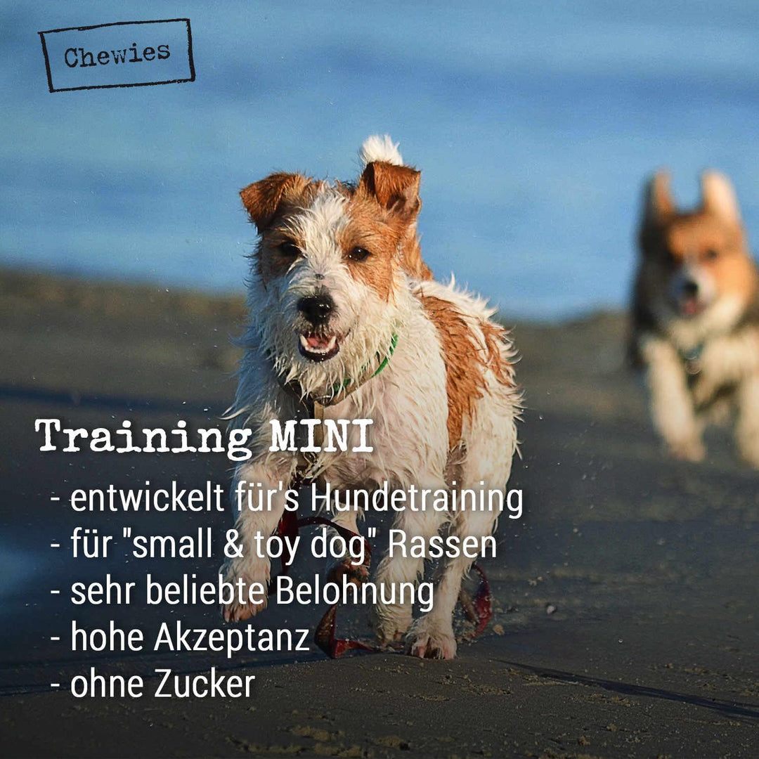 Chewies Hundeleckerli Mix-Paket, Training Mini Knöchelchen 18 x 125 g für Hunde - Rind, Pansen, Gefl