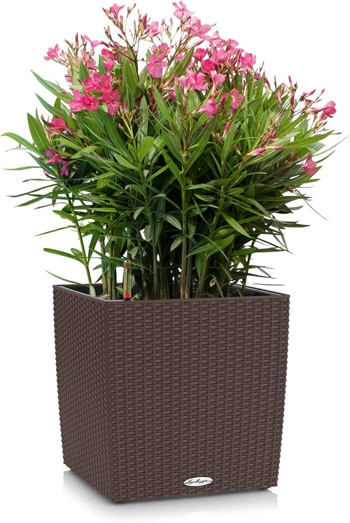 LECHUZA CUBE Cottage 30 mokka 15375 Pflanzgefäss mit Erd-Bewässerungs-System 29,5x29,5x30 cm Mokka,