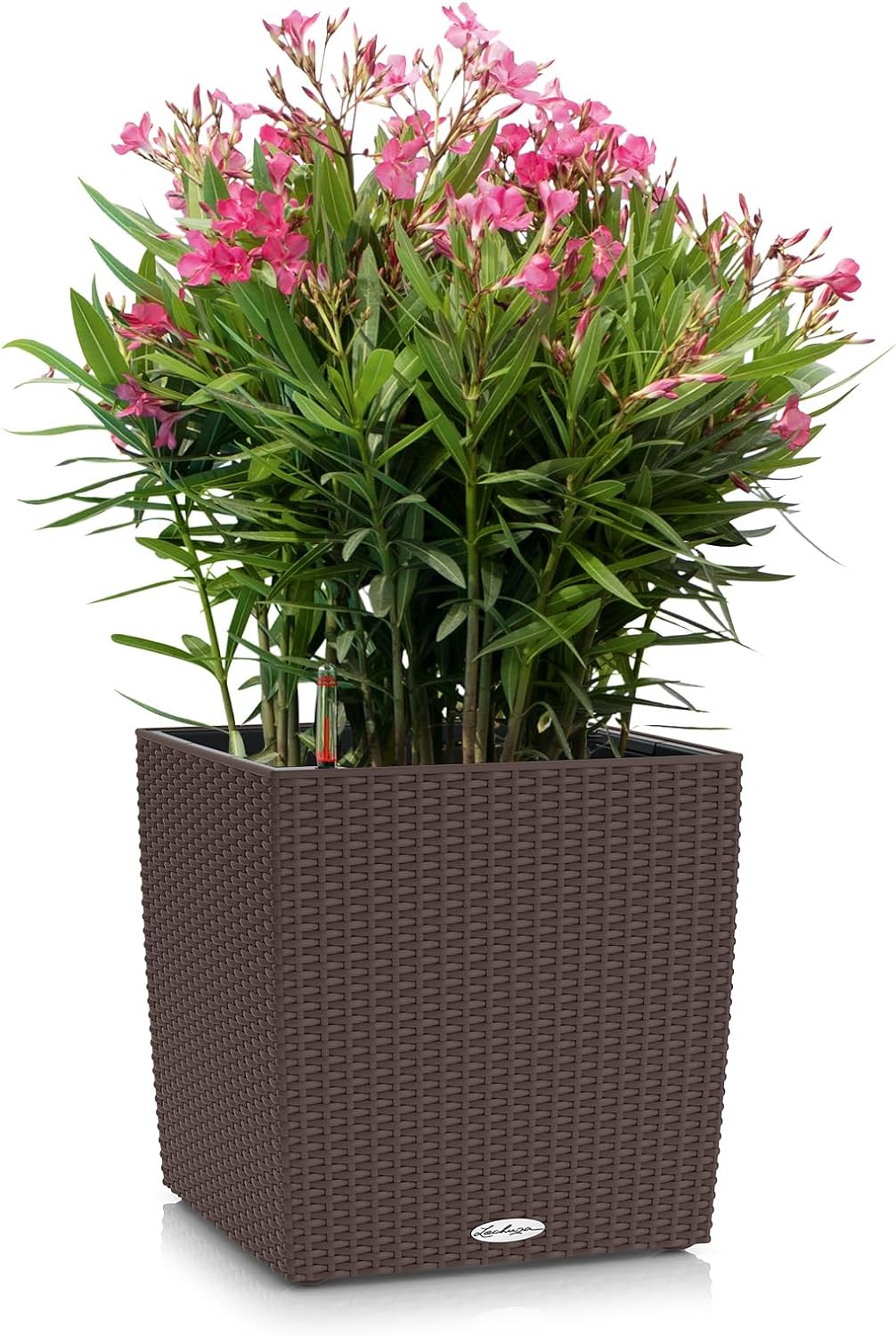 LECHUZA CUBE Cottage 40 mokka 15385 Pflanzgefäss mit Erd-Bewässerungs-System 39x39x40 cm Mokka, Pfla
