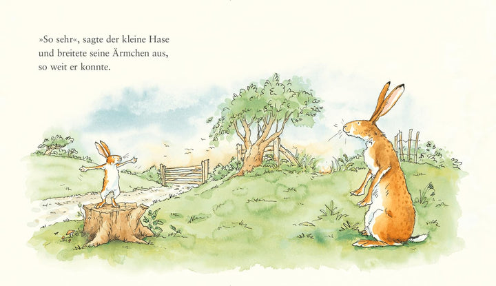 Weisst du eigentlich, wie lieb ich dich hab?, Gebundenes Buch
