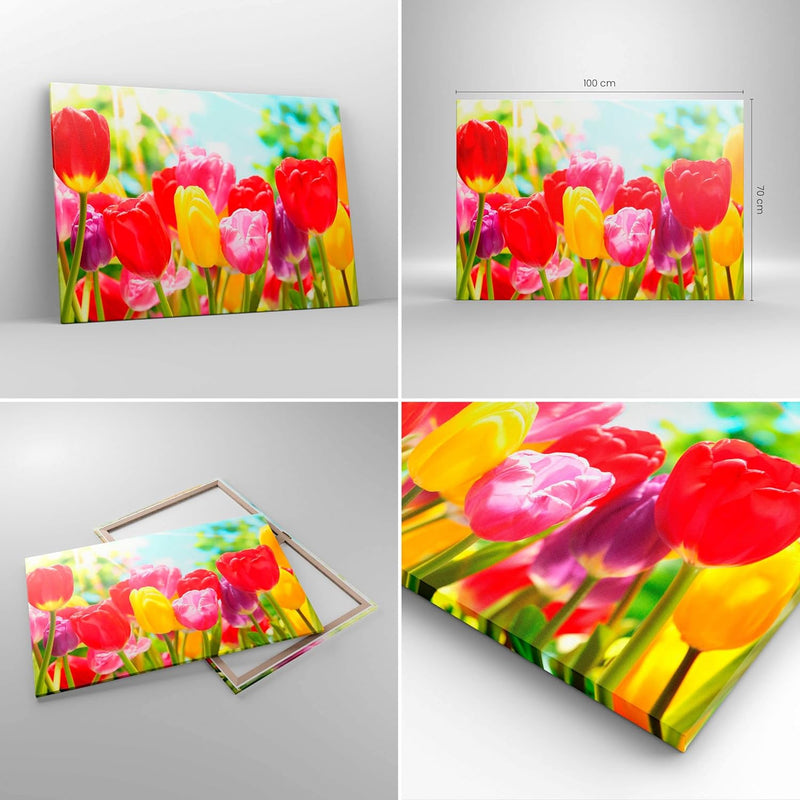 Bilder auf Leinwand 100x70cm Leinwandbild Tulpe Blume Garten Plantage Gross Wanddeko Bild Schlafzimm