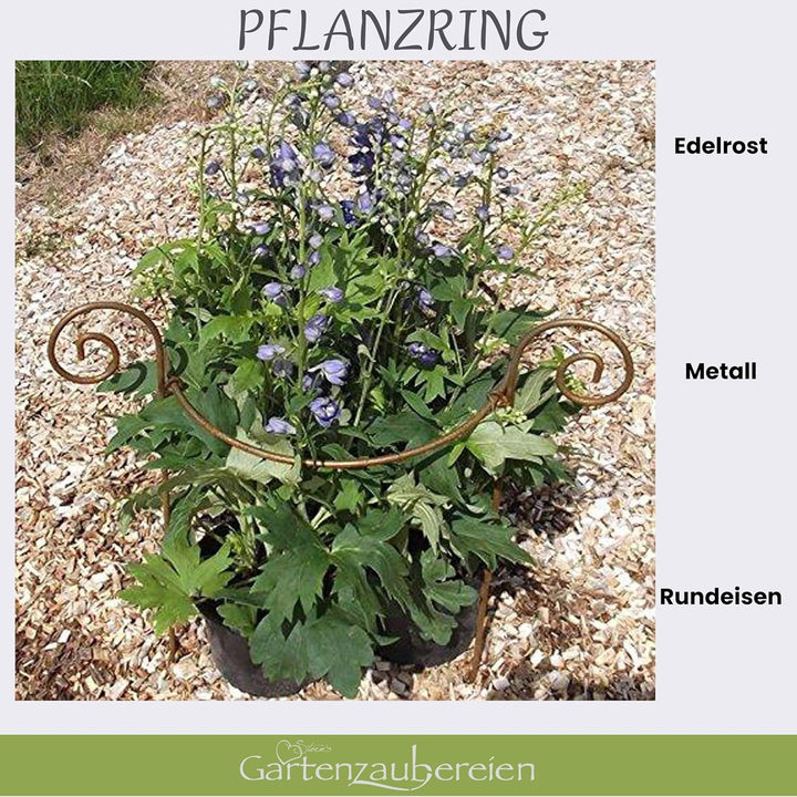 Staudenhalter - Rankhilfe rund 40cm massiv in Volleisen 8mm für Hortensien - Rosen, Gartendeko Pflan