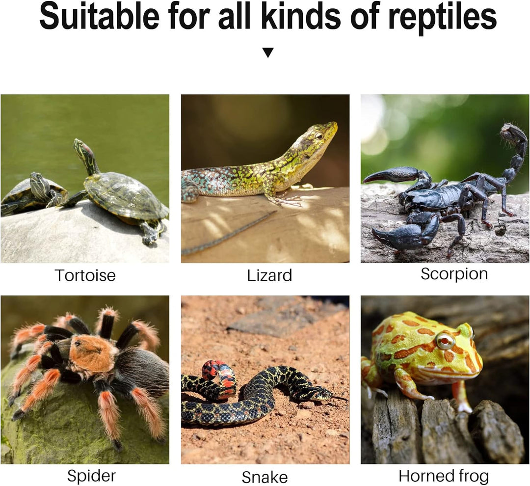 MOGOULUA Schildkröte Basking Plattform Reptilien Simuliert Rock Habitat Terrarium Versteck Harz Fels