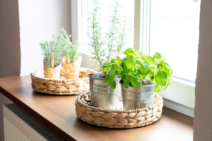 Decorasian Tablett rund geflochten aus Seegras - Wasserhyazinthe - Set 32cm + 28cm Durchmesser - Obs
