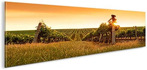 islandburner Bild Bilder auf Leinwand Weinberg Panorama XXL Poster Leinwandbild Wandbild Art up Your