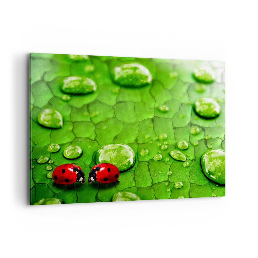 Bilder auf Leinwand 100x70cm Leinwandbild Marienkäfer Gras Blatt Tropfen Gross Wanddeko Bild Schlafz