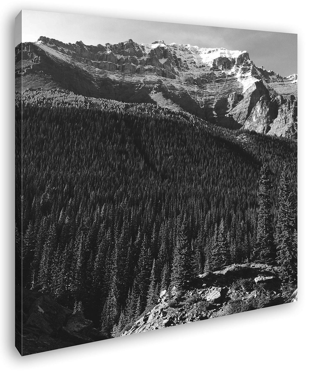 deyoli Atemberaubende Waldlandschaft Format: 60x60 Effekt: Schwarz&Weiss als Leinwandbild, Motiv auf