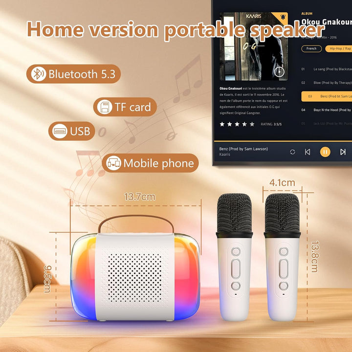 Karaoke Maschine mit 2 Mikrofonen, Tragbare Kabellose mini Karaoke Maschine füR Kinder und Erwachsen