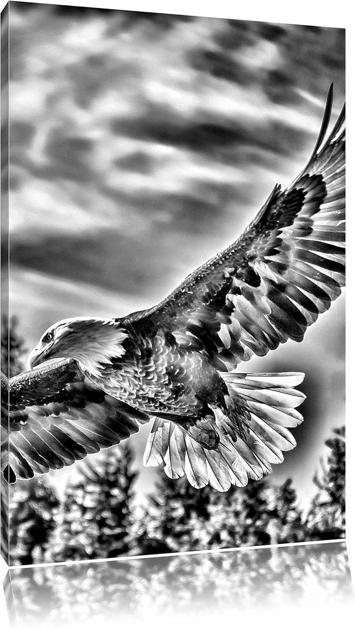 Monocrome, Adler, Format: 100x70 auf Leinwand, XXL riesige Bilder fertig gerahmt mit Keilrahmen, Kun