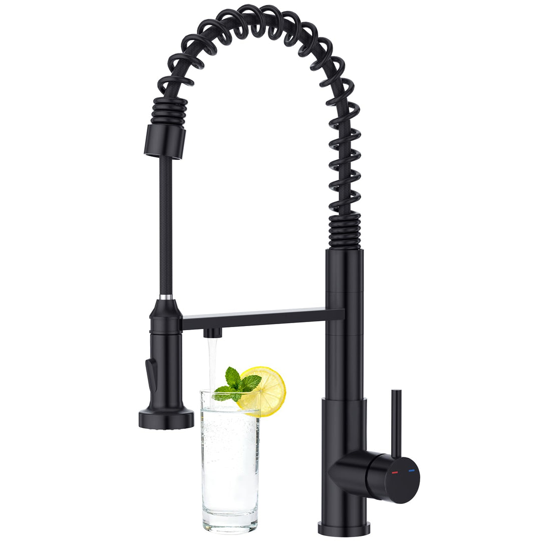 CREA 3 Wege Spiralfeder Küchenarmatur, Trinkwasserhahn Küche mit Brause ausziehbar, Wasserhahn Armat
