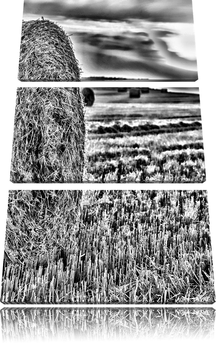 Pixxprint Strohballen auf Feld als Leinwandbild/Grösse: 3 Teilig (120x80) cm/Wandbild/Kunstdruck/fer