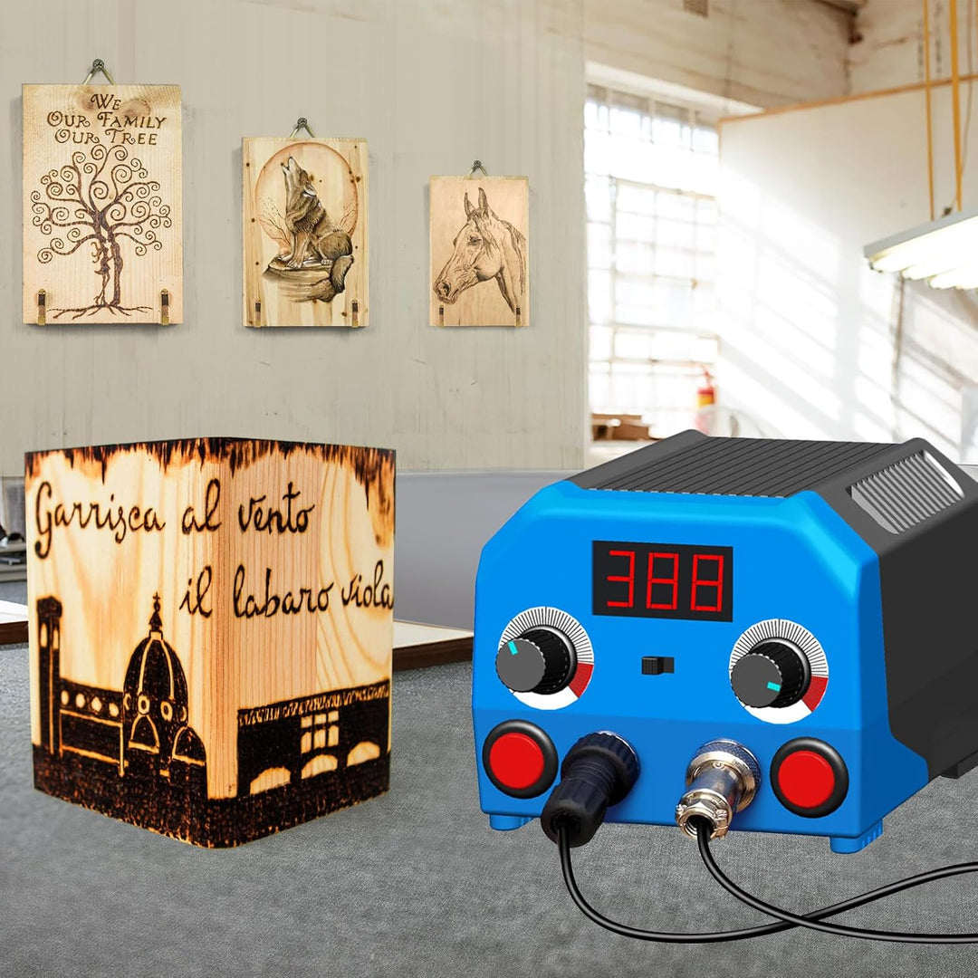 Doppelstift Brandmalerei Brennpeter für holz mit Digitalanzeig mit 2 Stiften und 30 Tlg Drahtspitzen