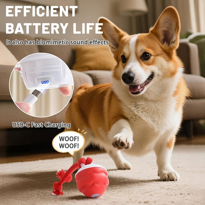 Interaktives Hundespielzeug, Interaktiver Spielball für Hunde mit Schnur, Hundeball Elektrisch Ball,