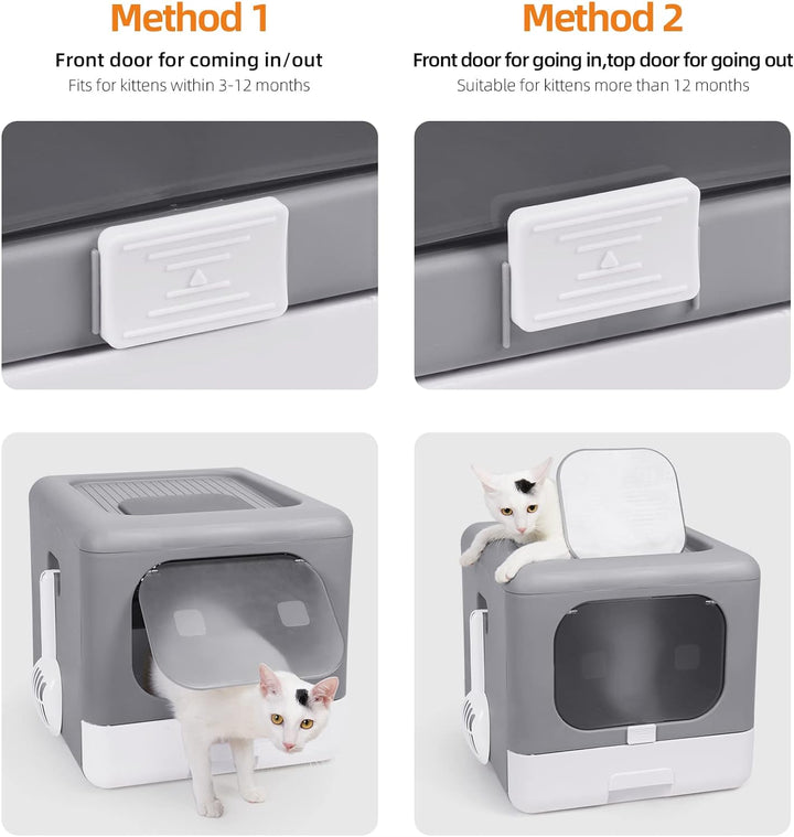 BingoPaw Katzenklo mit Deckel XXL Katzentoilette Faltbare Haustiertoilette inklusive Fronttür, Boden