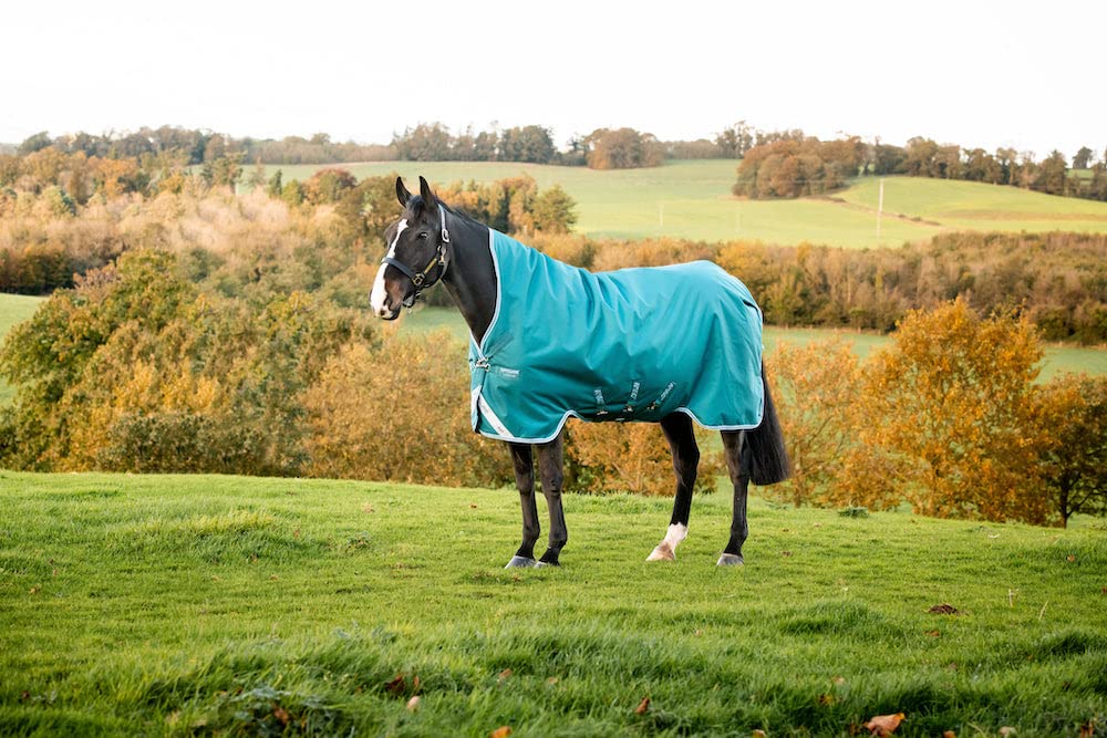 Horseware Amigo Bravo 12 Wug medium Storm Green Grösse wählbar 115, 115