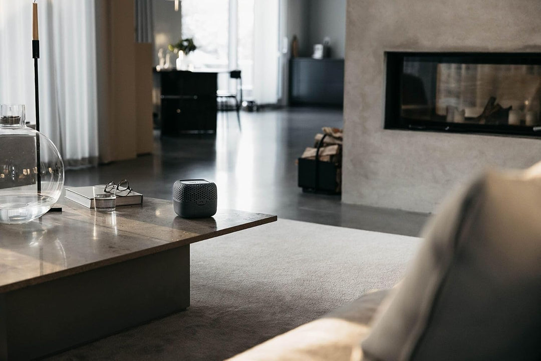 AbsoDry Duo Family - Luftentfeuchter Wohnung ohne Strom - für beste Luftqualität - Raumentfeuchter f