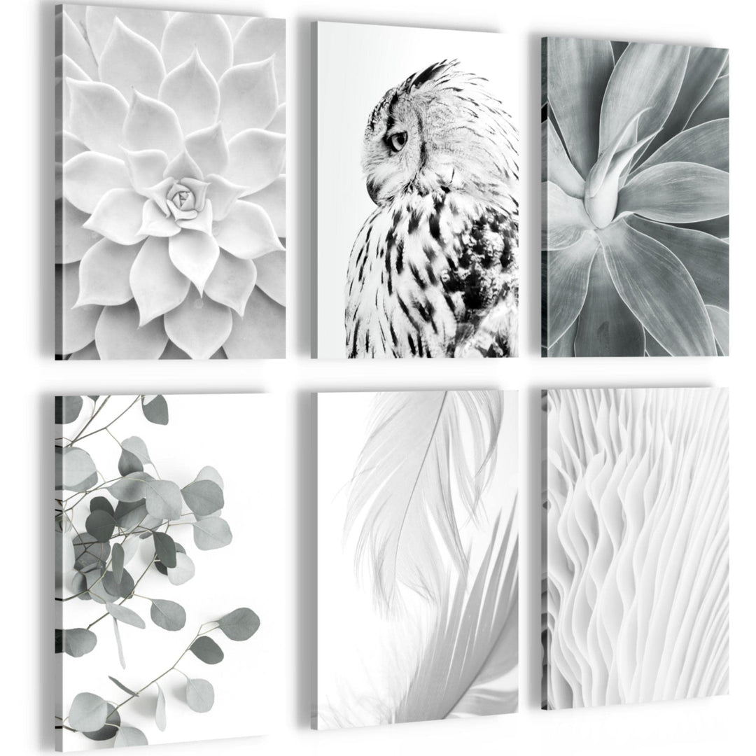 Novart Wandbilder Set - KOMPLETT AUFHÄNGFERTIG - Made in Germany - Moderne Bilder Boho Eule Wohnzimm
