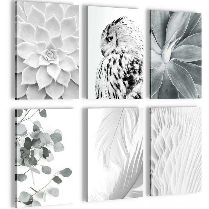 Novart Wandbilder Set - KOMPLETT AUFHÄNGFERTIG - Made in Germany - Moderne Bilder Boho Eule Wohnzimm
