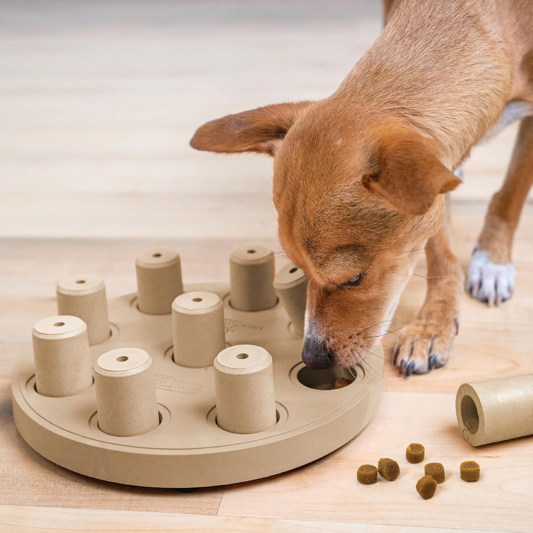 Outward Hound Nina Ottosson Dog Smart Treat Puzzle Enrichment Toy, Level 1 Beginner, Tan, Composite,