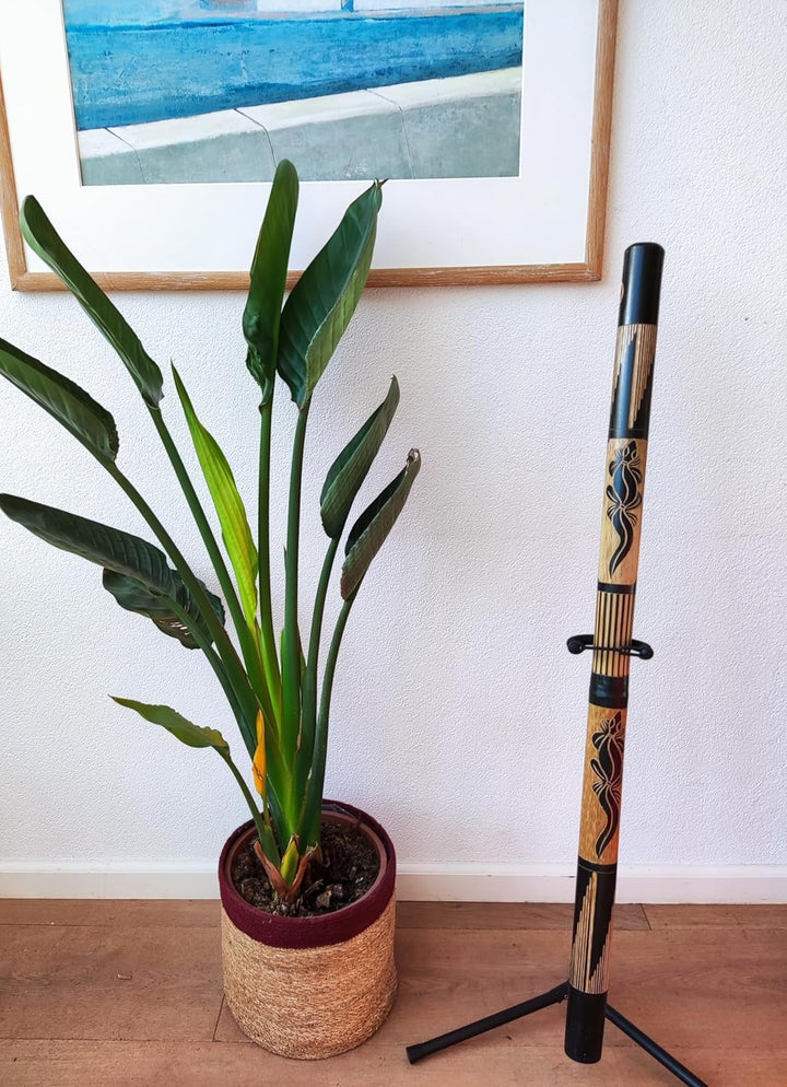 BAMBUS DIDGERIDOO: holz didgeridoo -120cm - didgeridootasche - für alle Einsteiger