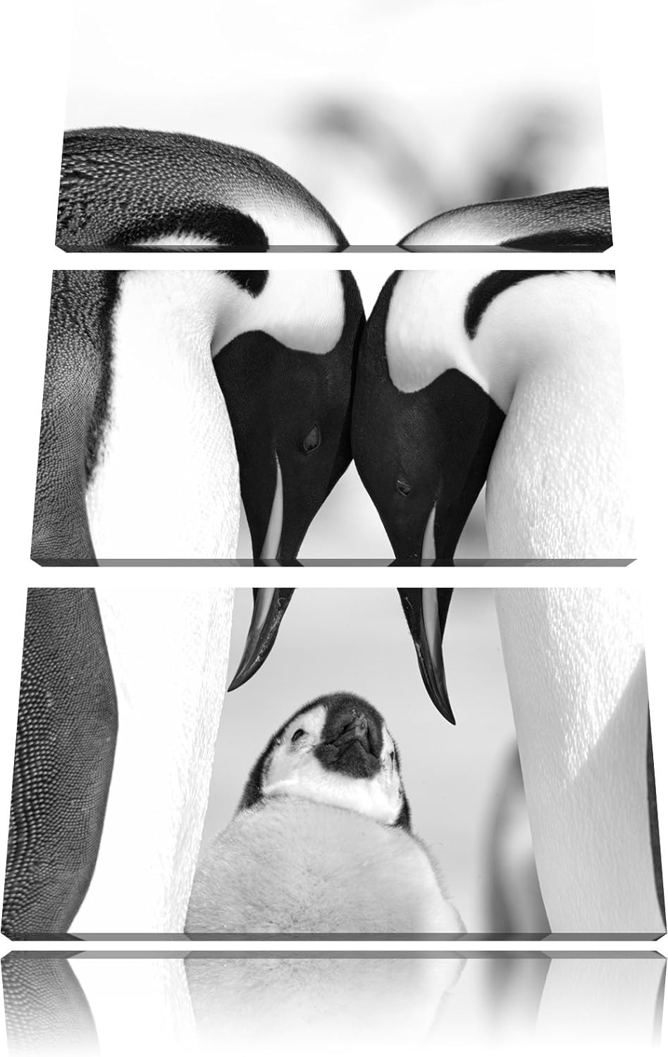 Pixxprint Kaiserpiguinpärchen Liebe als Leinwandbild/Grösse: 3 Teilig (120x80) cm/Wandbild/Kunstdruc