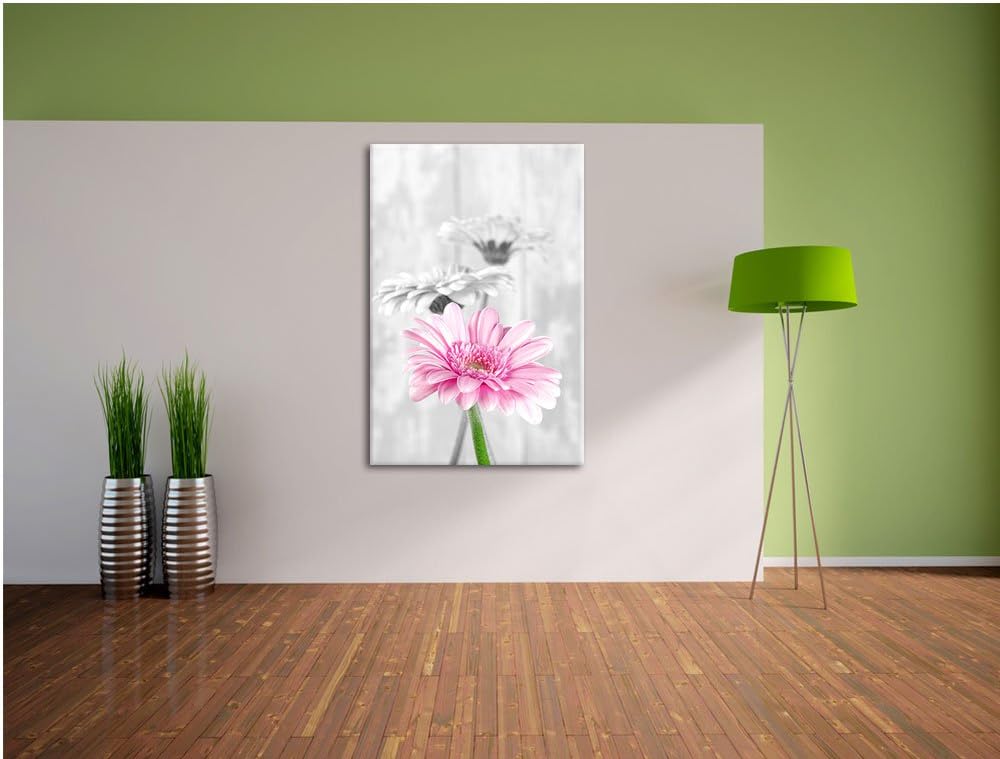 schöne Gerberas bei Tageslicht schwarz/weiss Format: 100x70 auf Leinwand, XXL riesige Bilder fertig